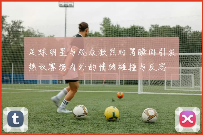 足球明星与观众激烈对骂瞬间引发热议赛场内外的情绪碰撞与反思