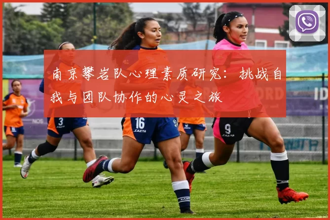 南京攀岩队心理素质研究：挑战自我与团队协作的心灵之旅