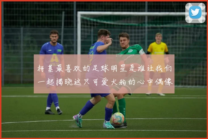 柯基最喜欢的足球明星是谁让我们一起揭晓这只可爱犬狗的心中偶像