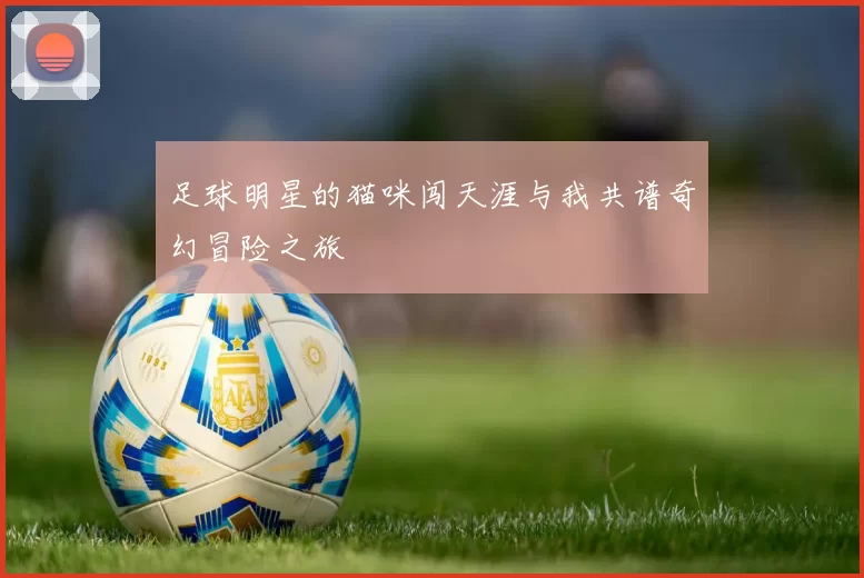 足球明星的猫咪闯天涯与我共谱奇幻冒险之旅