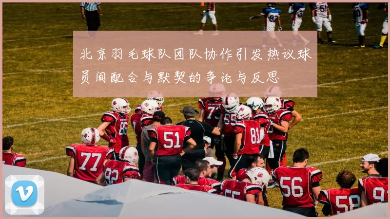 北京羽毛球队团队协作引发热议球员间配合与默契的争论与反思