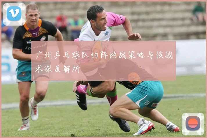 广州乒乓球队的阵地战策略与技战术深度解析