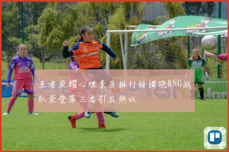 王者荣耀心理素质排行榜揭晓RNG战队荣登第三名引发热议