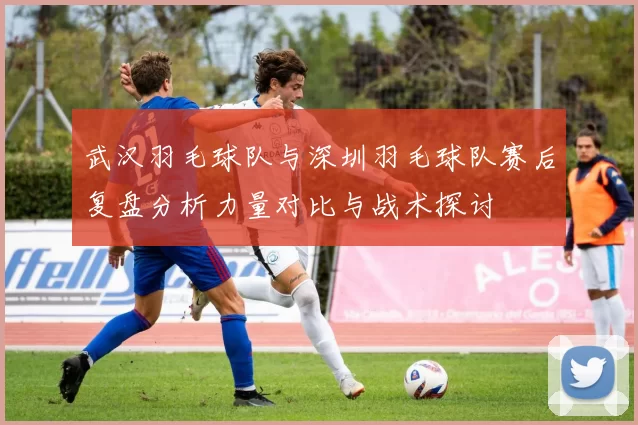 武汉羽毛球队与深圳羽毛球队赛后复盘分析力量对比与战术探讨