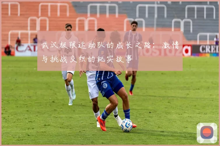 武汉极限运动队的成长之路：激情与挑战交织的纪实故事