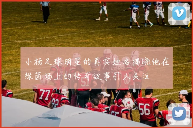 小杨足球明星的真实姓名揭晓他在绿茵场上的传奇故事引人关注