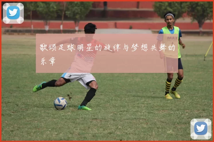 歌颂足球明星的旋律与梦想共舞的乐章
