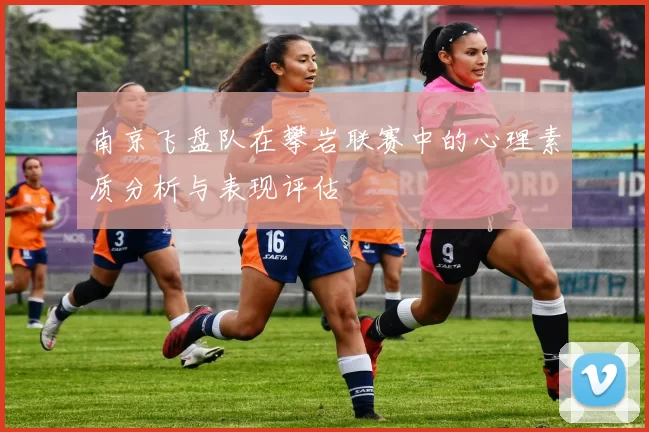 南京飞盘队在攀岩联赛中的心理素质分析与表现评估