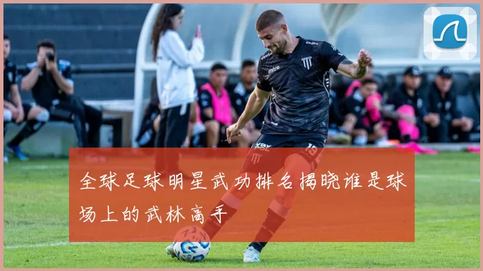 全球足球明星武功排名揭晓谁是球场上的武林高手