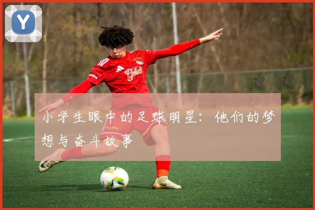 小学生眼中的足球明星：他们的梦想与奋斗故事