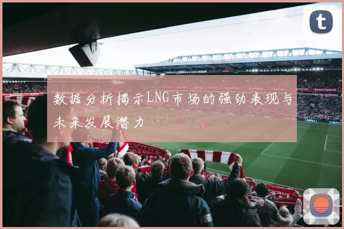 数据分析揭示LNG市场的强劲表现与未来发展潜力