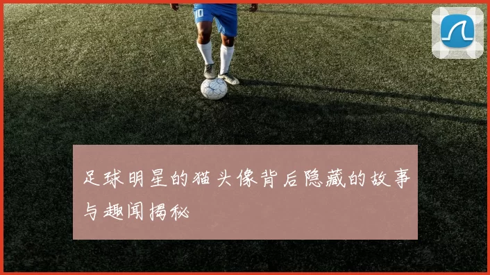 足球明星的猫头像背后隐藏的故事与趣闻揭秘
