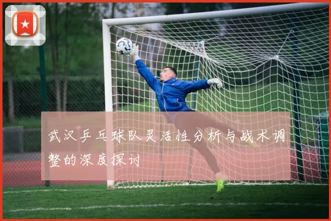 武汉乒乓球队灵活性分析与战术调整的深度探讨