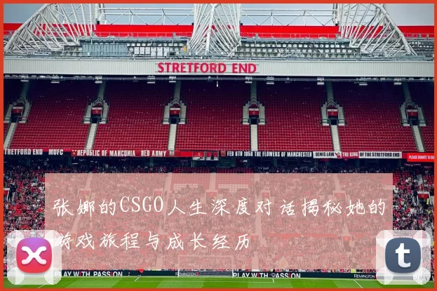 张娜的CSGO人生深度对话揭秘她的游戏旅程与成长经历