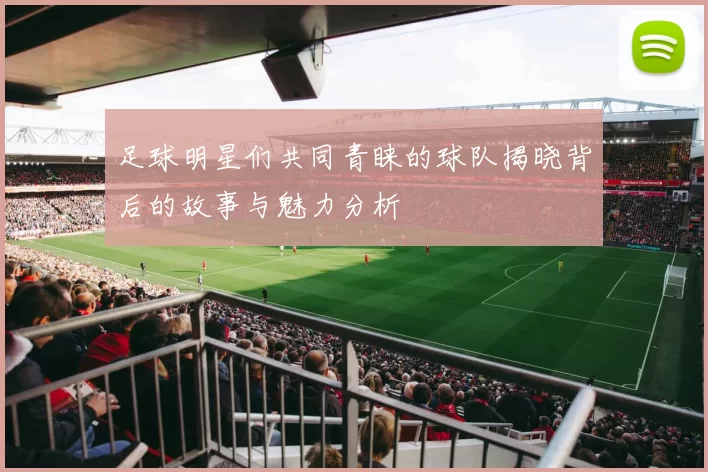 足球明星们共同青睐的球队揭晓背后的故事与魅力分析