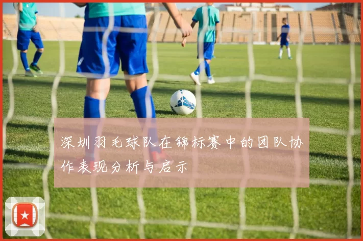 深圳羽毛球队在锦标赛中的团队协作表现分析与启示