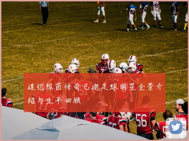 追忆绿茵传奇已逝足球明星全景介绍与生平回顾