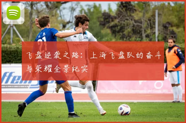飞盘逆袭之路：上海飞盘队的奋斗与荣耀全景纪实