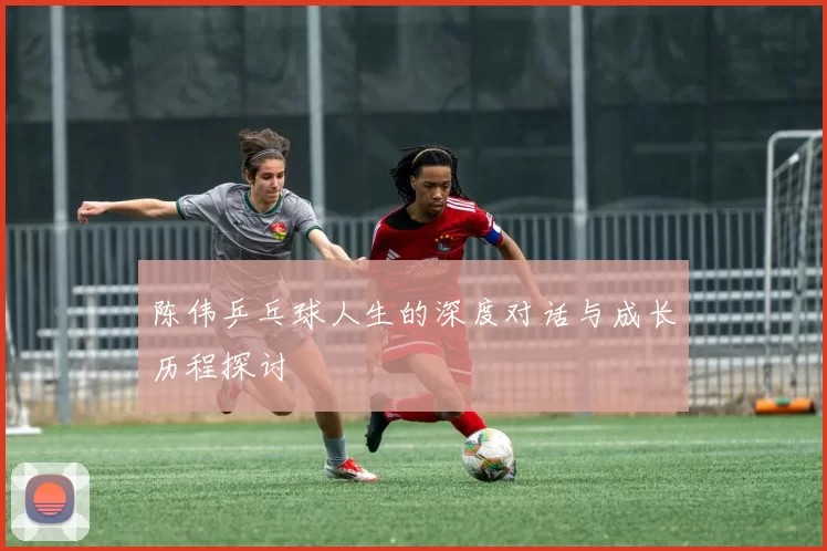 陈伟乒乓球人生的深度对话与成长历程探讨