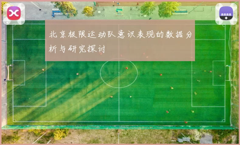 北京极限运动队意识表现的数据分析与研究探讨