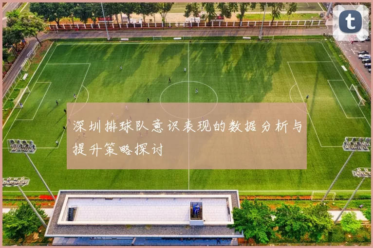 深圳排球队意识表现的数据分析与提升策略探讨