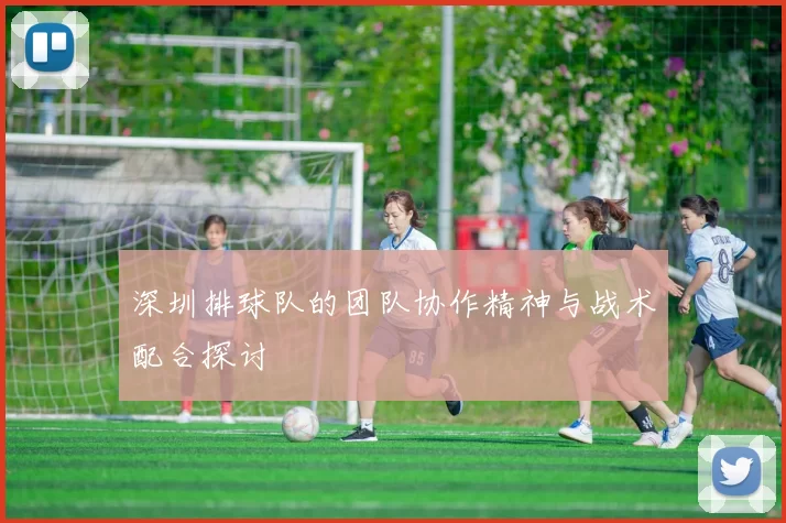 深圳排球队的团队协作精神与战术配合探讨