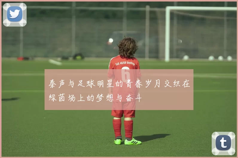 秦声与足球明星的青春岁月交织在绿茵场上的梦想与奋斗