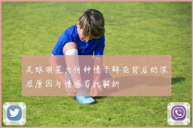 足球明星为何钟情于鲜花背后的深层原因与情感寄托解析