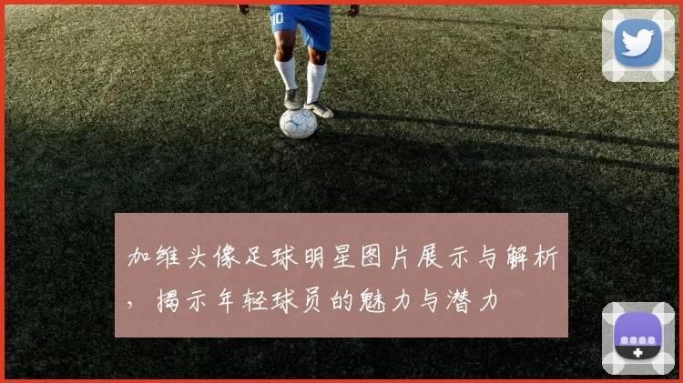 加维头像足球明星图片展示与解析，揭示年轻球员的魅力与潜力