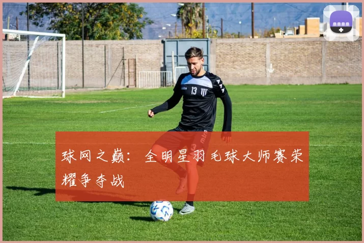 球网之巅：全明星羽毛球大师赛荣耀争夺战