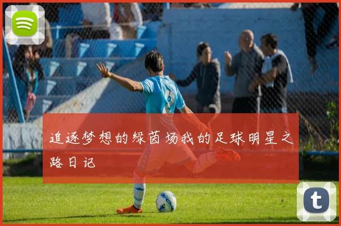 追逐梦想的绿茵场我的足球明星之路日记
