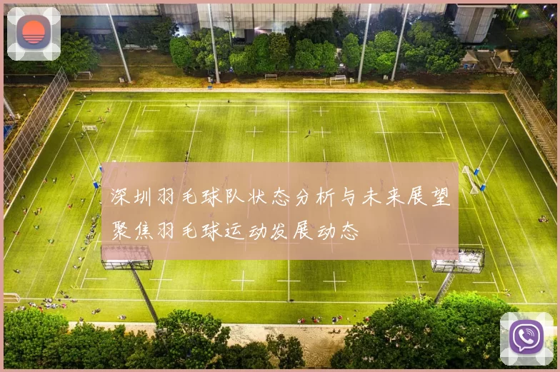 深圳羽毛球队状态分析与未来展望聚焦羽毛球运动发展动态